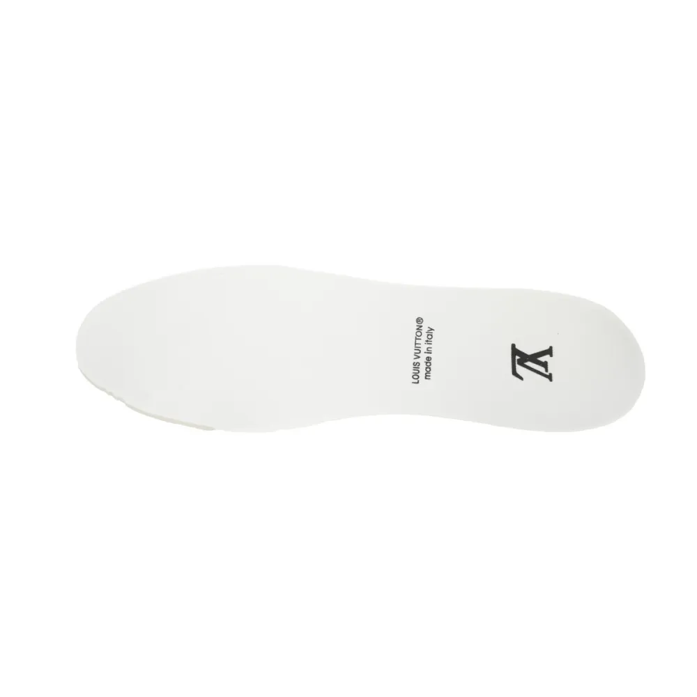 Louis Vuitton LV Trainer Sneaker Grey 1AHOUD