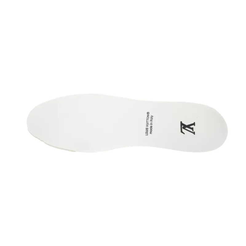 Louis Vuitton LV Trainer Sneaker Grey 1AHOUD