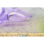 Lanvin Leather Curb White Purple