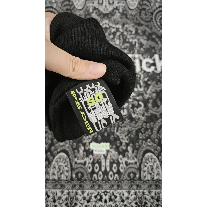 Sp5der Web Beanies Black/Brown/Purple/Pink/Green/Orange EG80