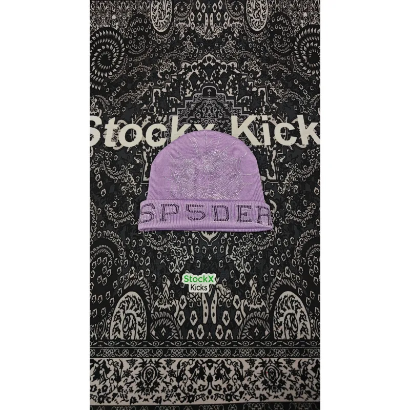 Sp5der Web Beanies Black/Brown/Purple/Pink/Green/Orange EG80