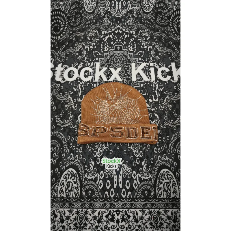 Sp5der Web Beanies Black/Brown/Purple/Pink/Green/Orange EG80