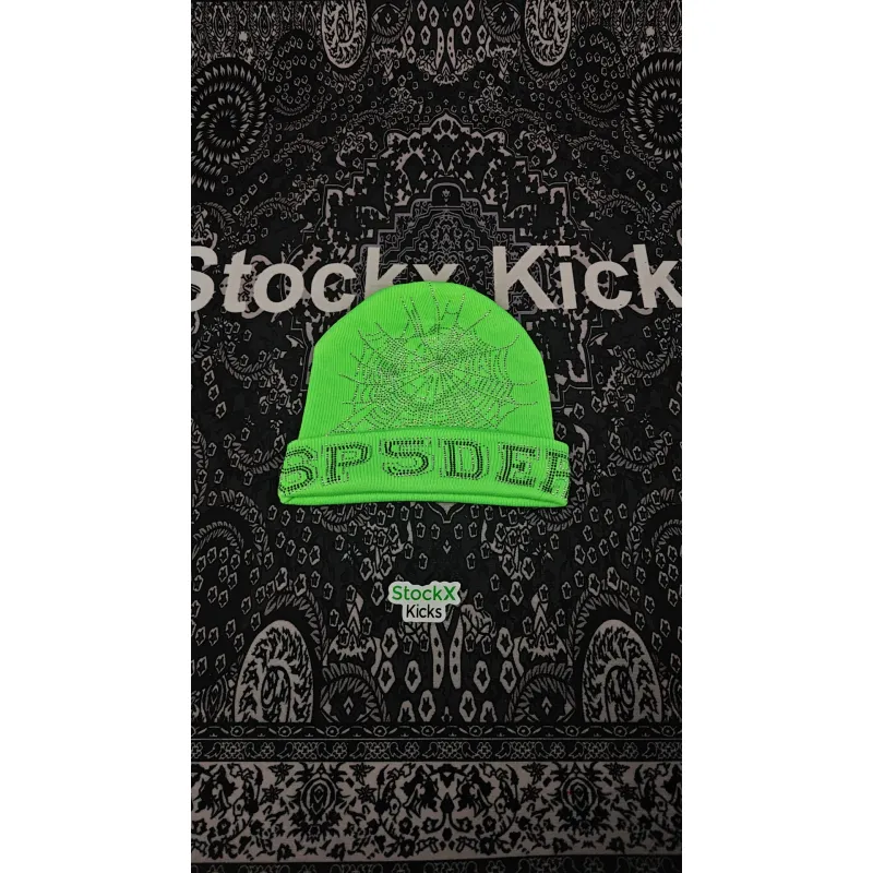 Sp5der Web Beanies Black/Brown/Purple/Pink/Green/Orange EG80