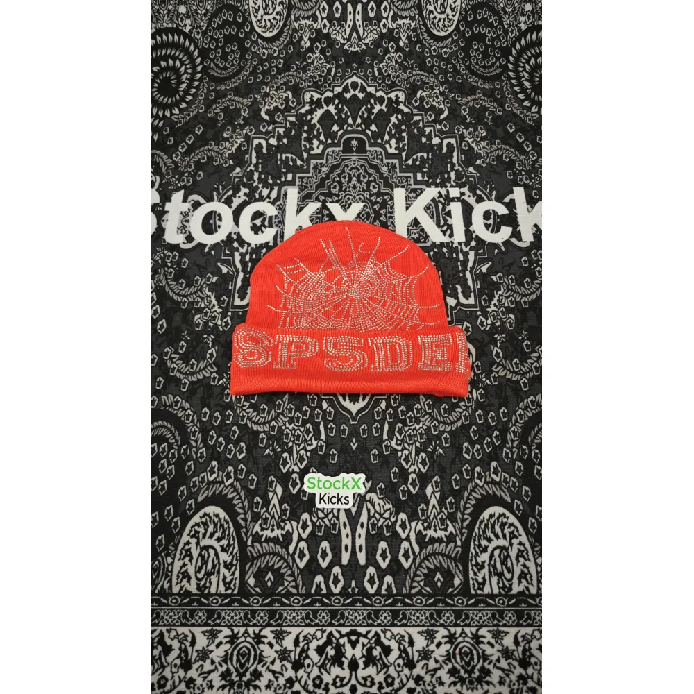 Sp5der Web Beanies Black/Brown/Purple/Pink/Green/Orange EG80