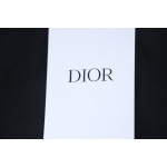 Dior 2025 Classic Letters T-Shirt