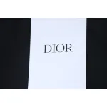 Dior 2025 Classic Letters T-Shirt