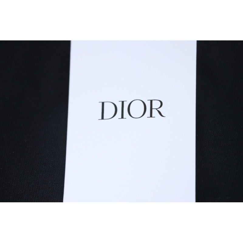 Dior 2025 Classic Letters T-Shirt