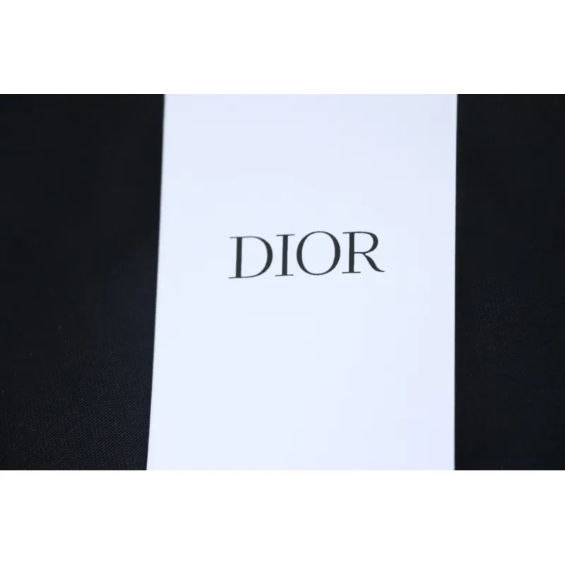Dior 2025 Classic Letters T-Shirt