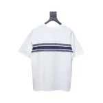 Dior 23ss Blue Stripes T-shirt