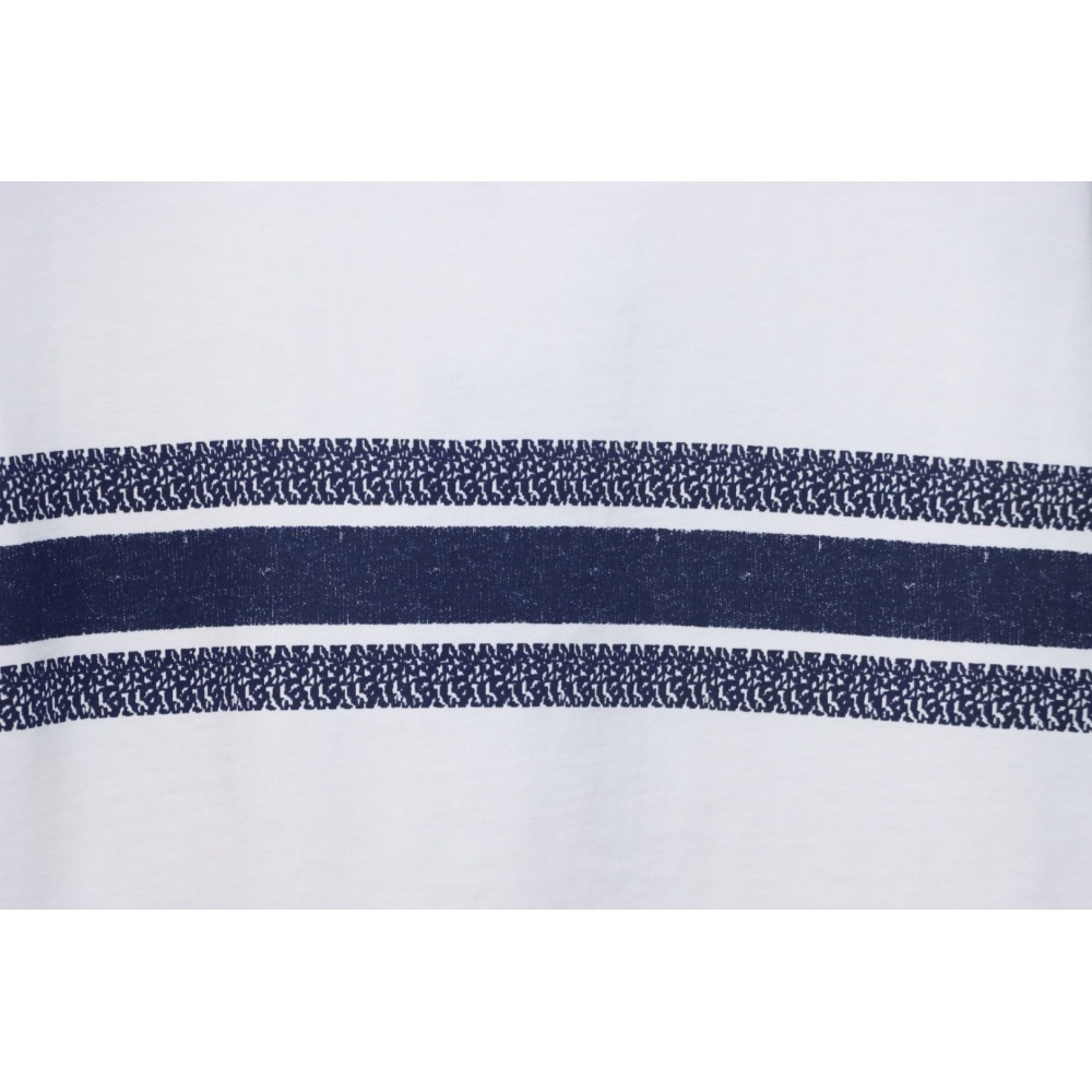 Dior 23ss Blue Stripes T-shirt