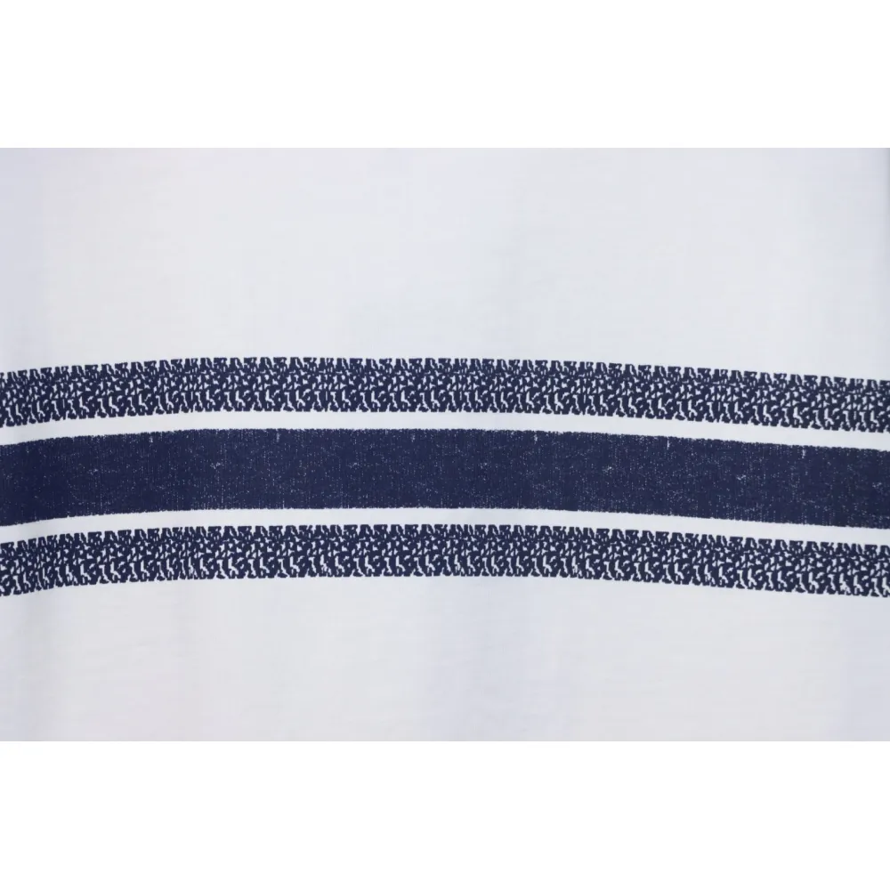 Dior 23ss Blue Stripes T-shirt