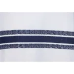 Dior 23ss Blue Stripes T-shirt