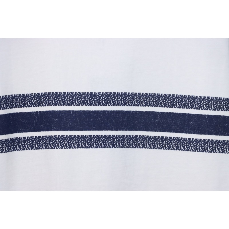 Dior 23ss Blue Stripes T-shirt