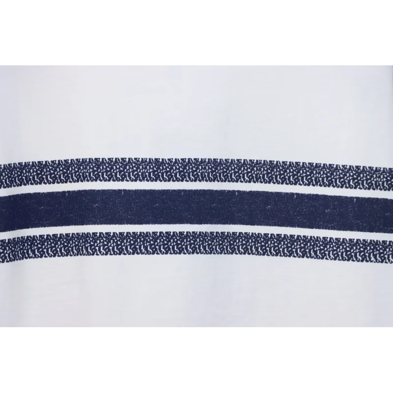 Dior 23ss Blue Stripes T-shirt