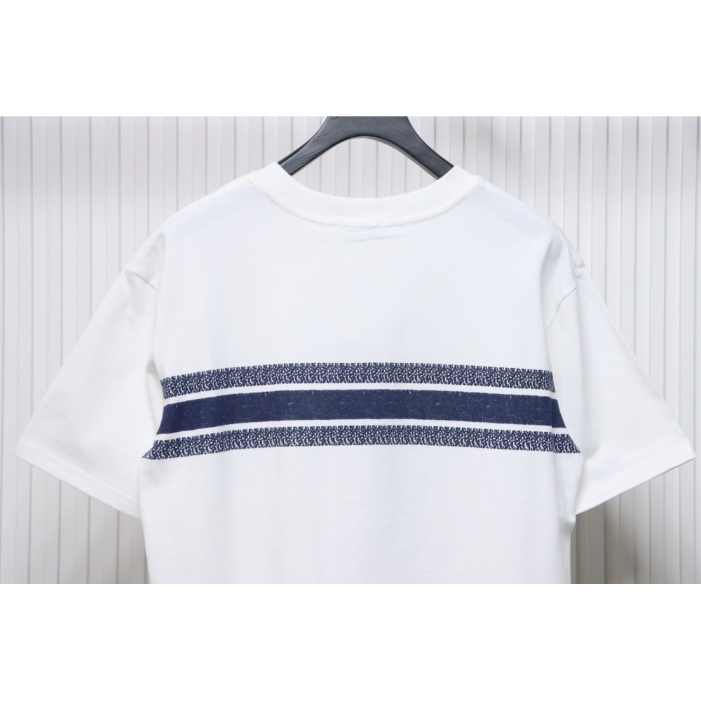 Dior 23ss Blue Stripes T-shirt