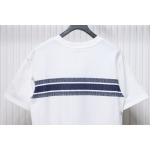 Dior 23ss Blue Stripes T-shirt