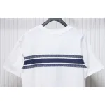Dior 23ss Blue Stripes T-shirt