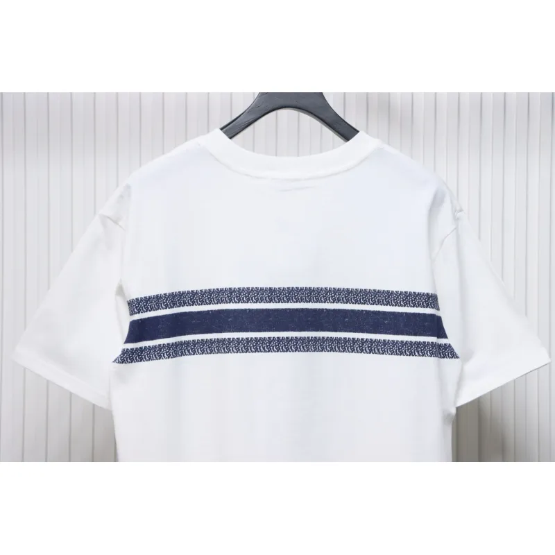 Dior 23ss Blue Stripes T-shirt