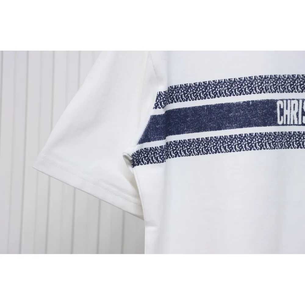 Dior 23ss Blue Stripes T-shirt