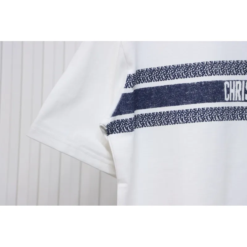 Dior 23ss Blue Stripes T-shirt