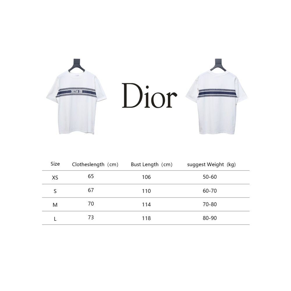 Dior 23ss Blue Stripes T-shirt