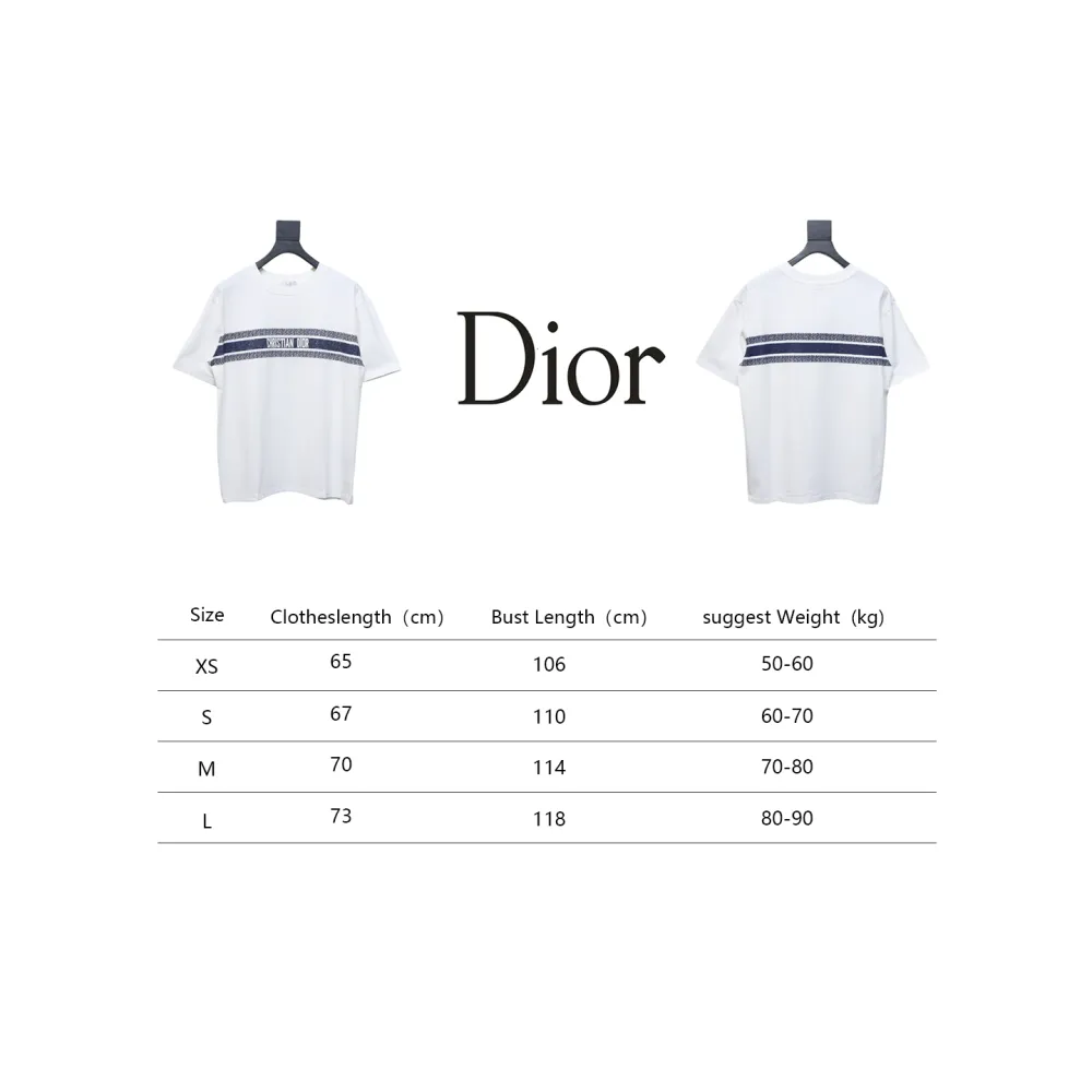 Dior 23ss Blue Stripes T-shirt