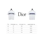 Dior 23ss Blue Stripes T-shirt