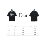 Dior 25ss Hand-painted Letters T-shirt Black