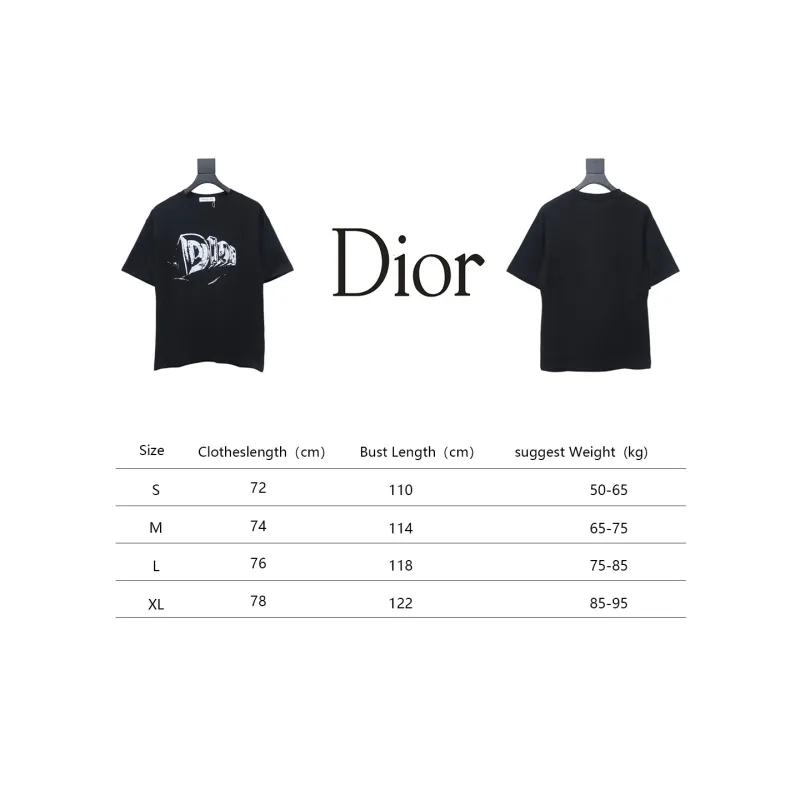Dior 25ss Hand-painted Letters T-shirt Black