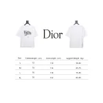 Dior 25ss Hand-painted Letters T-shirt White