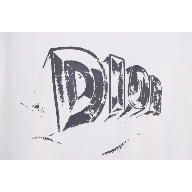 Dior 25ss Hand-painted Letters T-shirt White