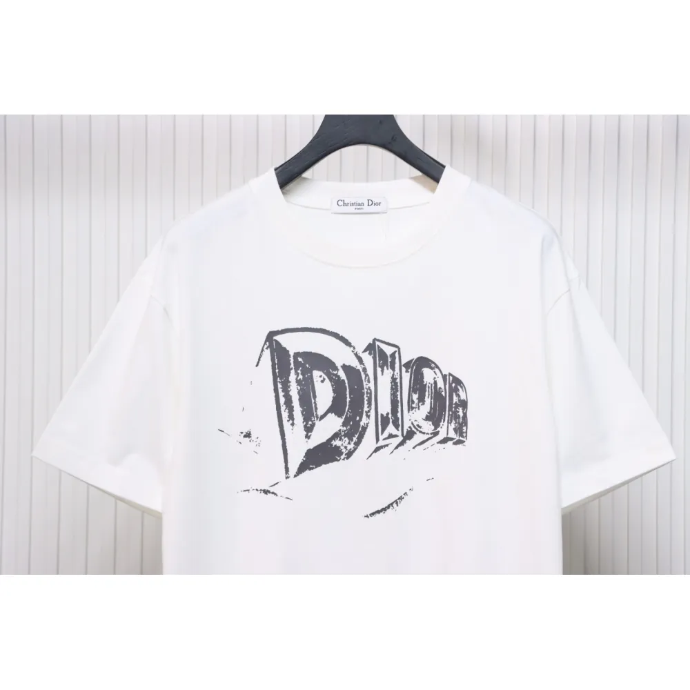 Dior 25ss Hand-painted Letters T-shirt White