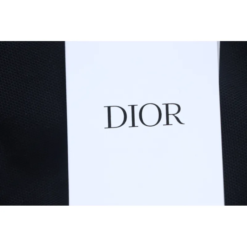 Dior CD Embroidered LOGO POLO T-shirt