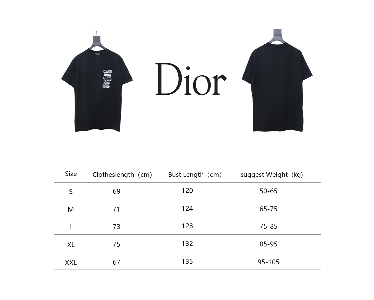 Dior Flocking printing T-shirt Black