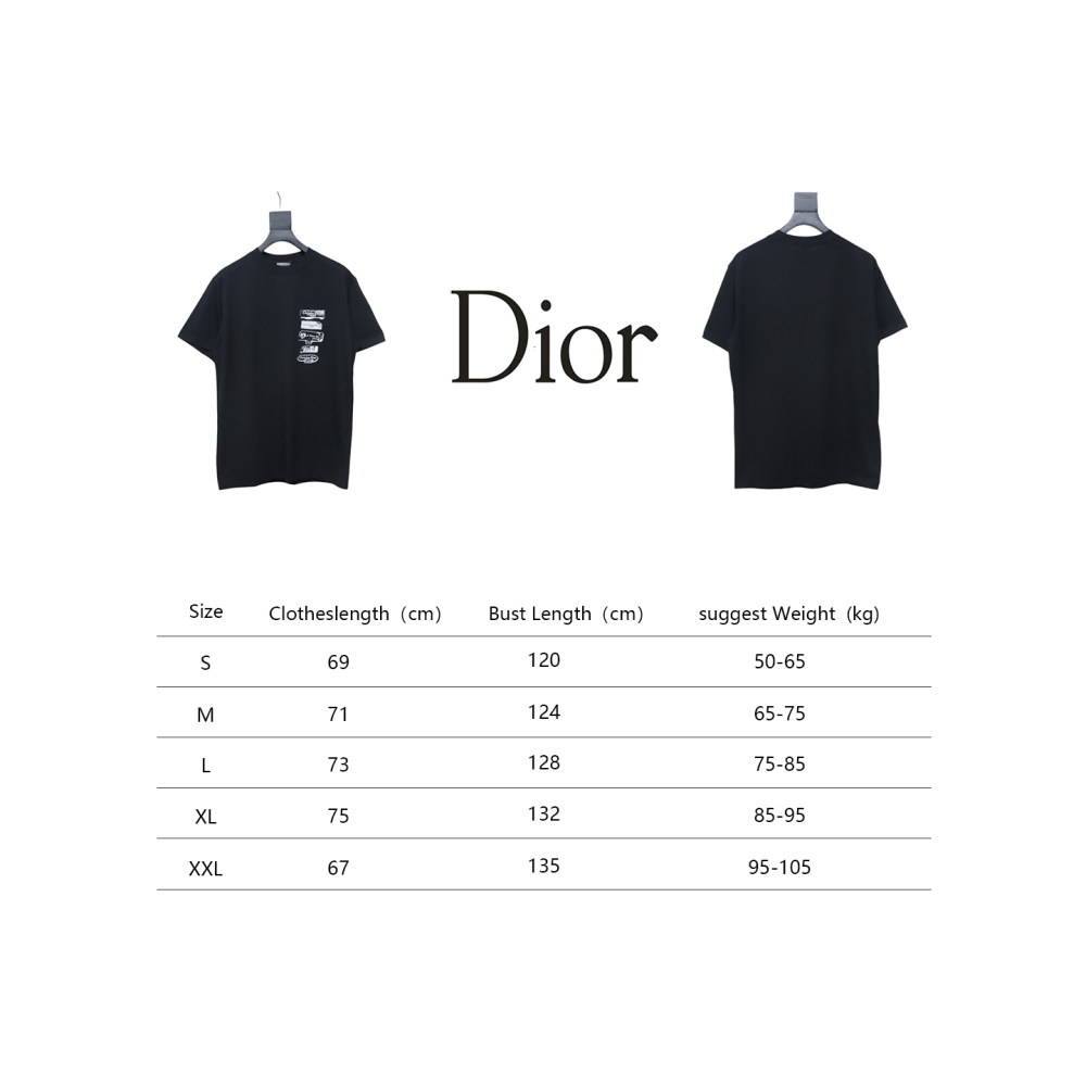 Dior Flocking printing T-shirt Black