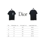 Dior Flocking printing T-shirt Black
