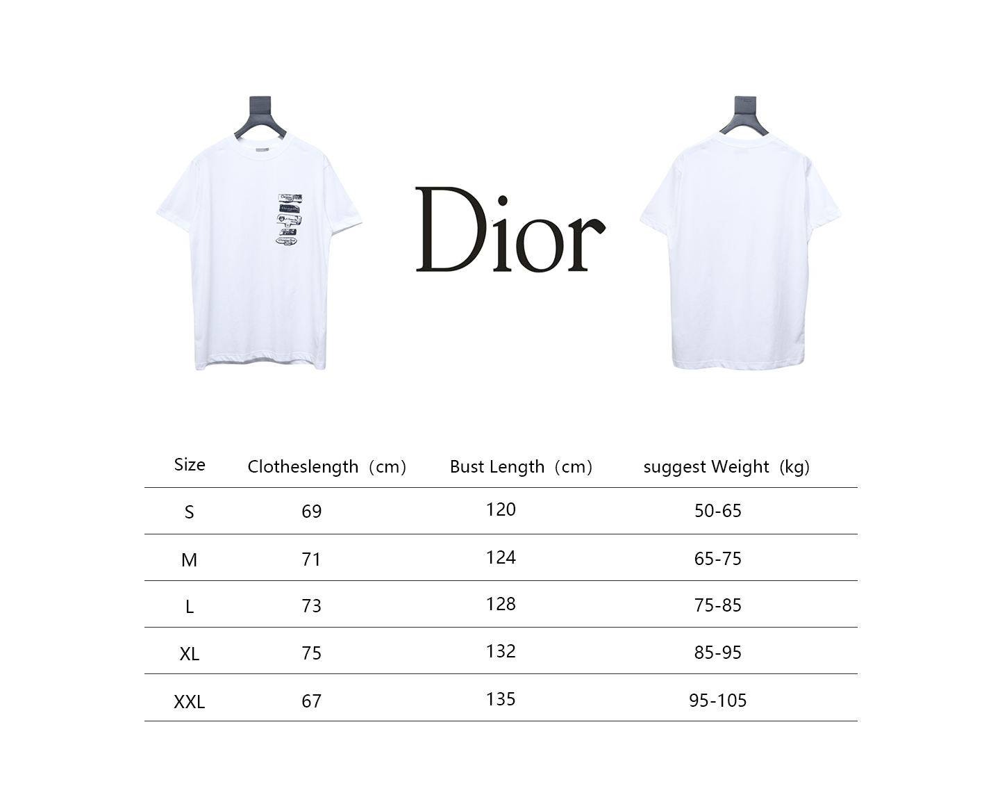 Dior Flocking printing T-shirt White