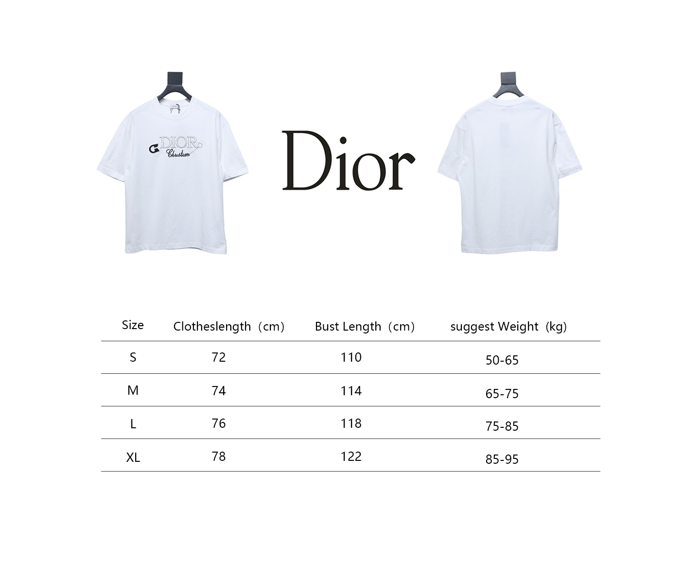 Dior Pin Embroidery T-shirt White