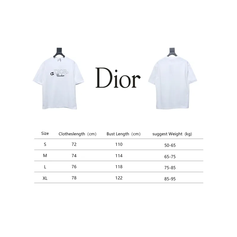 Dior Pin Embroidery T-shirt White