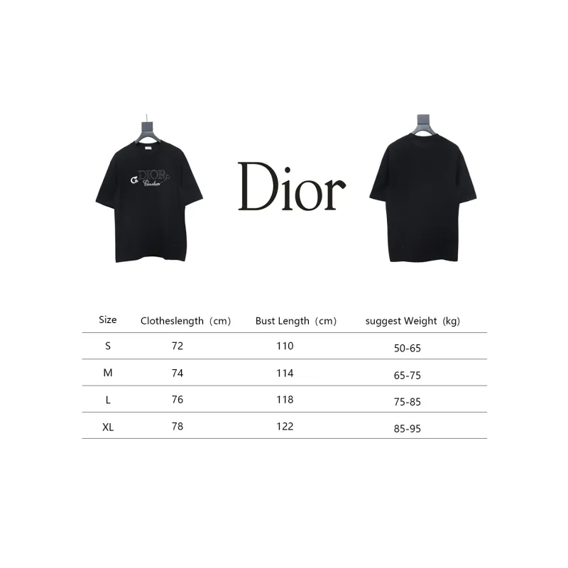 Dior Pin Embroidery T-shirt Black