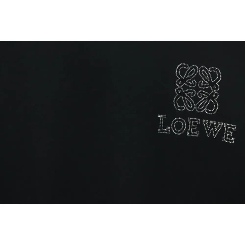 Loewe 24ss Hot diamond Four-Leaf Clover T-Shirt Black