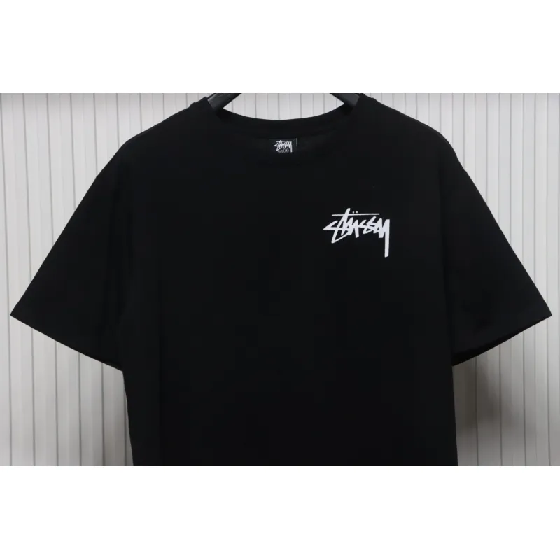 Stussy 25ss Plush Dice T-Shirt Black