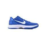 Nike Kobe 6 Protro Dodgers CW2190-400