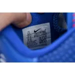 Nike Kobe 6 Protro Dodgers CW2190-400