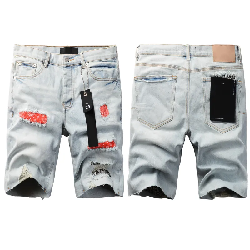 Purple Brand Denim Shorts K0505