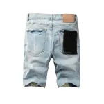 Purple Brand Denim Shorts K0520
