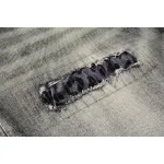 Purple Brand Denim Shorts K0532