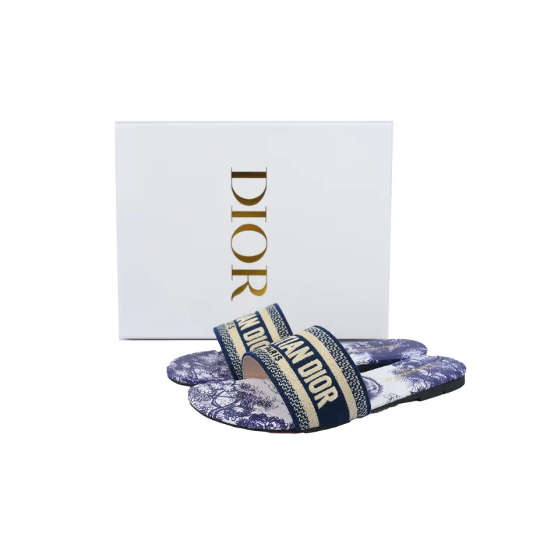 DIOR Classic Dway Slide Rose Blue