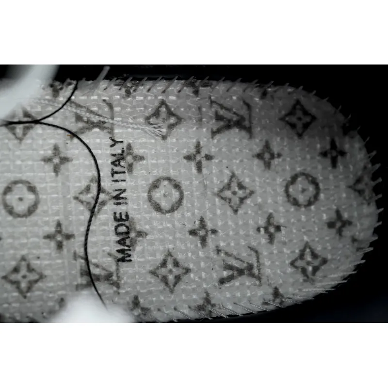 LV Trainer Sneaker Black Skin And White Background 1AD9WD