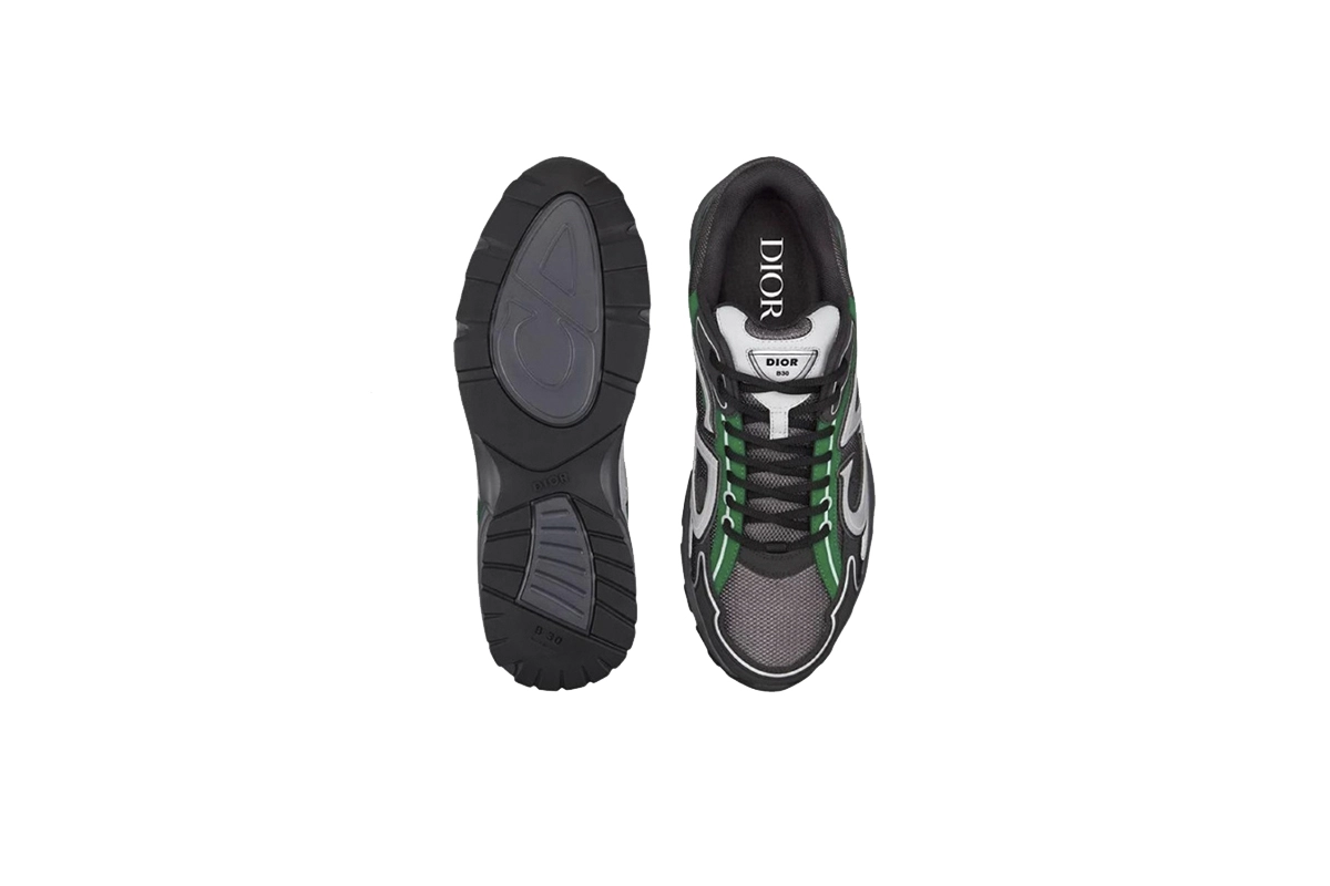 Dior B30 Reflective CD30 Deep Grey Green 3SN279ZRB_H695
